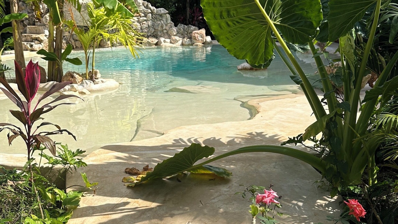 Photo of Outdoor in Yucatan Peninsula