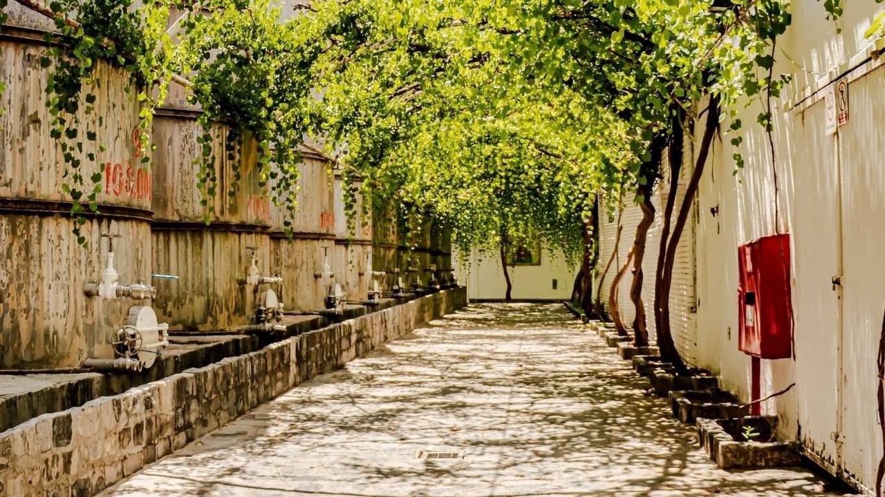 Photo of Outdoor in Parras de la Fuente