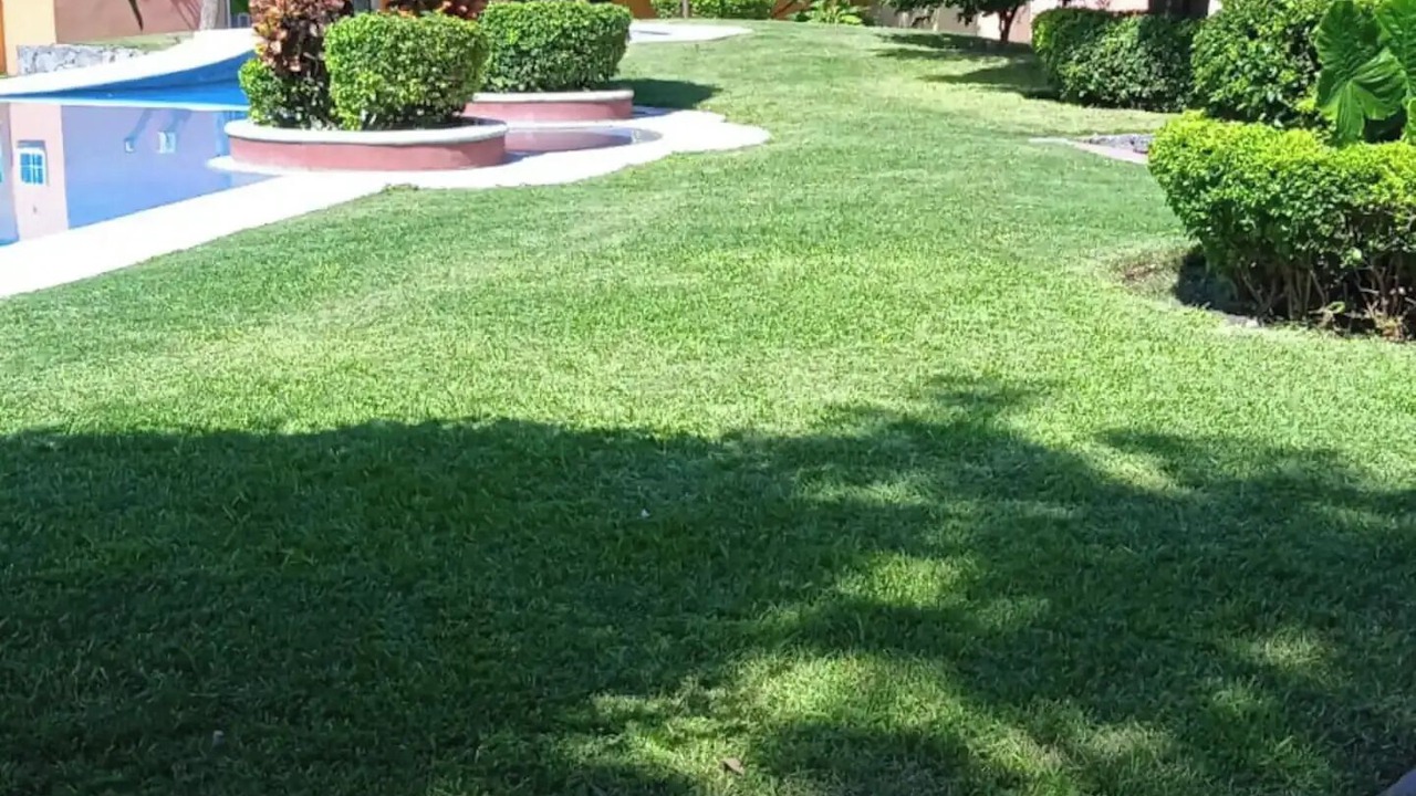 Photo of Outdoor in Tetecalita