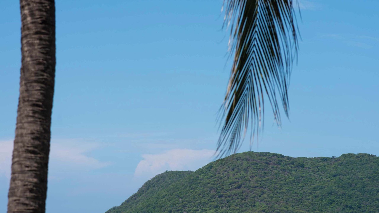 Photo of Others in Barra de Potosi
