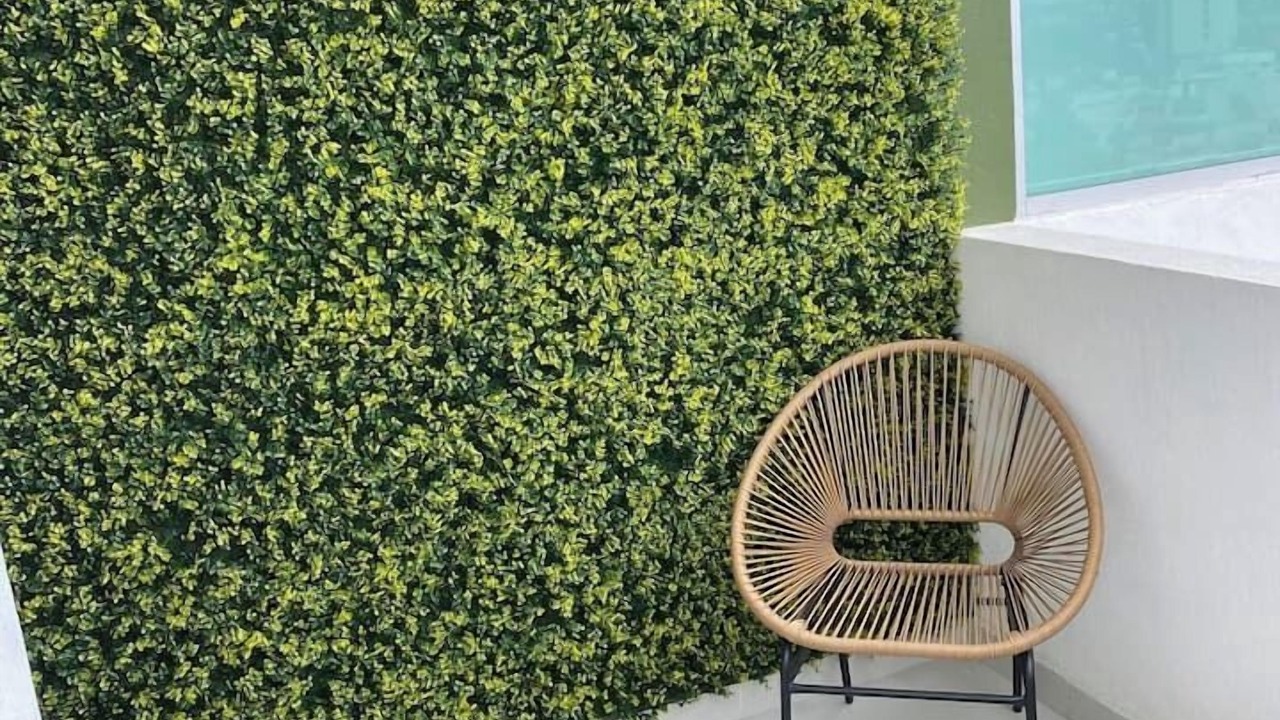 Photo of Outdoor in Angelopolis