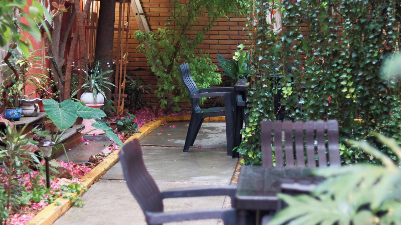 Photo of Outdoor in Calzada Madero