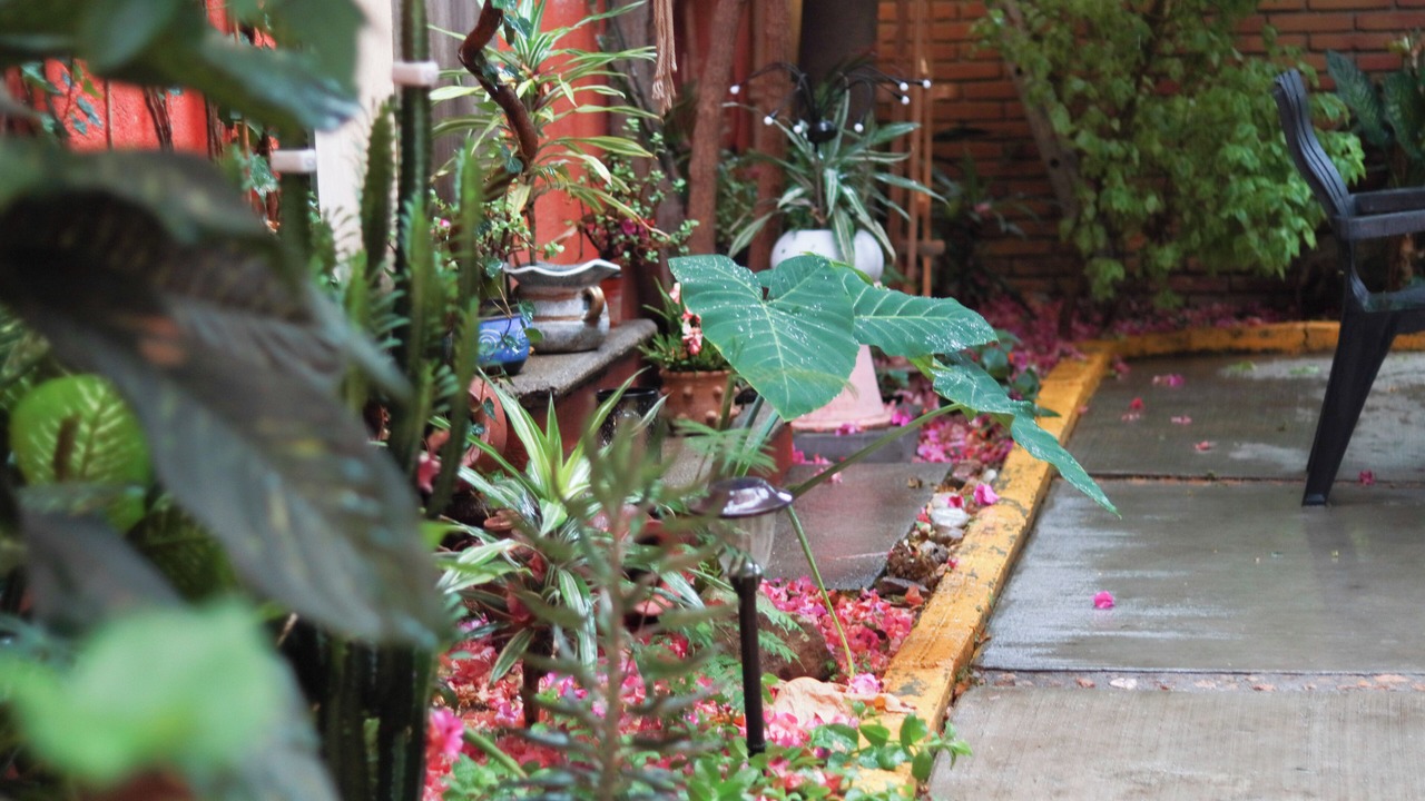 Photo of Outdoor in Calzada Madero