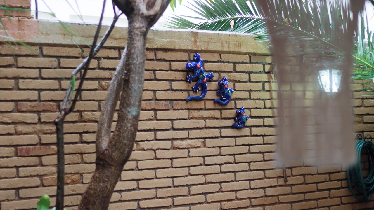Photo of Outdoor in Calzada Madero