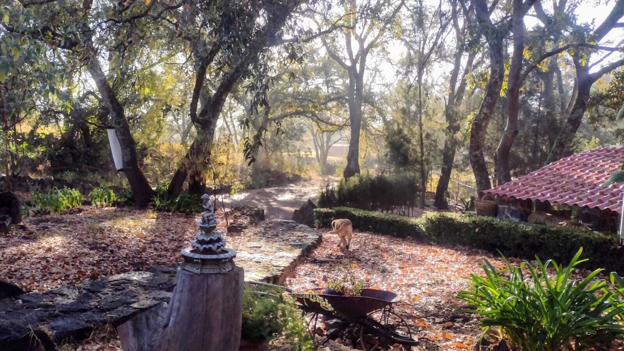 Photo of Outdoor in Tetla de la Solidaridad