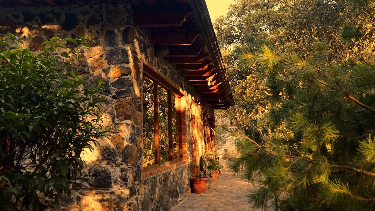 Photo of Outdoor in Tetla de la Solidaridad