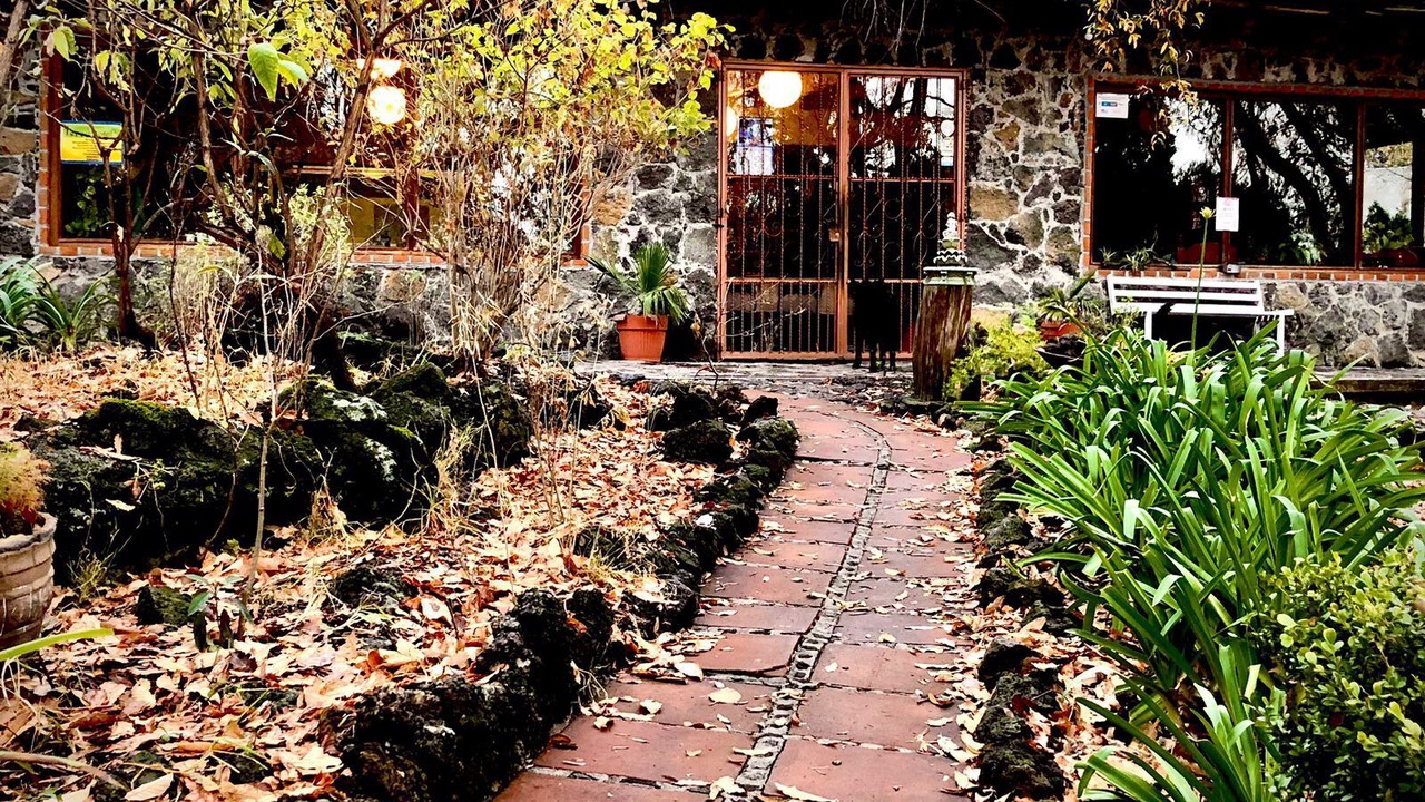 Photo of Outdoor in Tetla de la Solidaridad