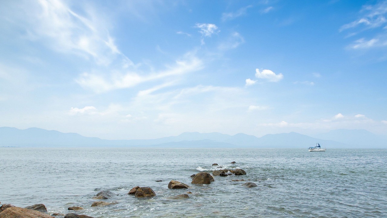 Photo of Others in La Cruz de Huanacaxtle