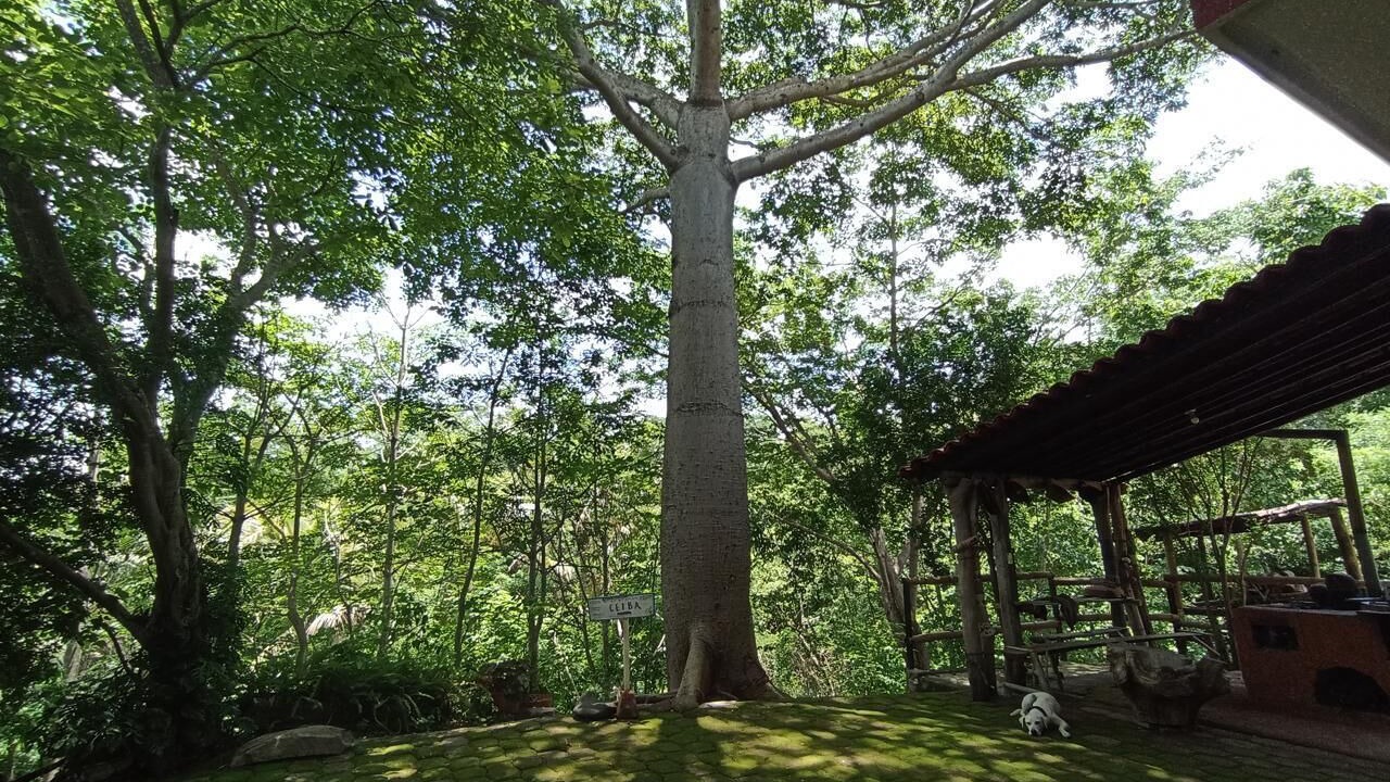 Photo of Outdoor in Huautlco