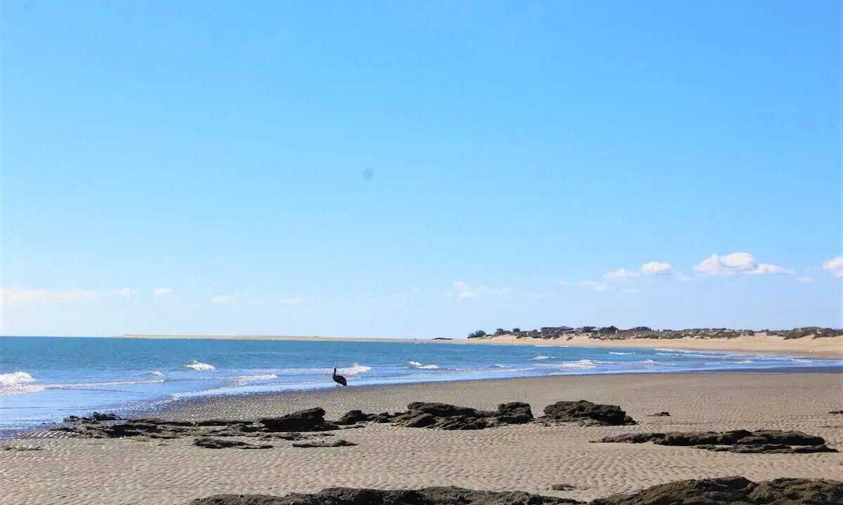 Photo of Others in San Felipe