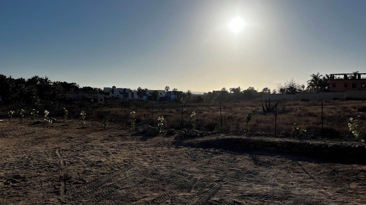 Photo of Others in Todos Santos