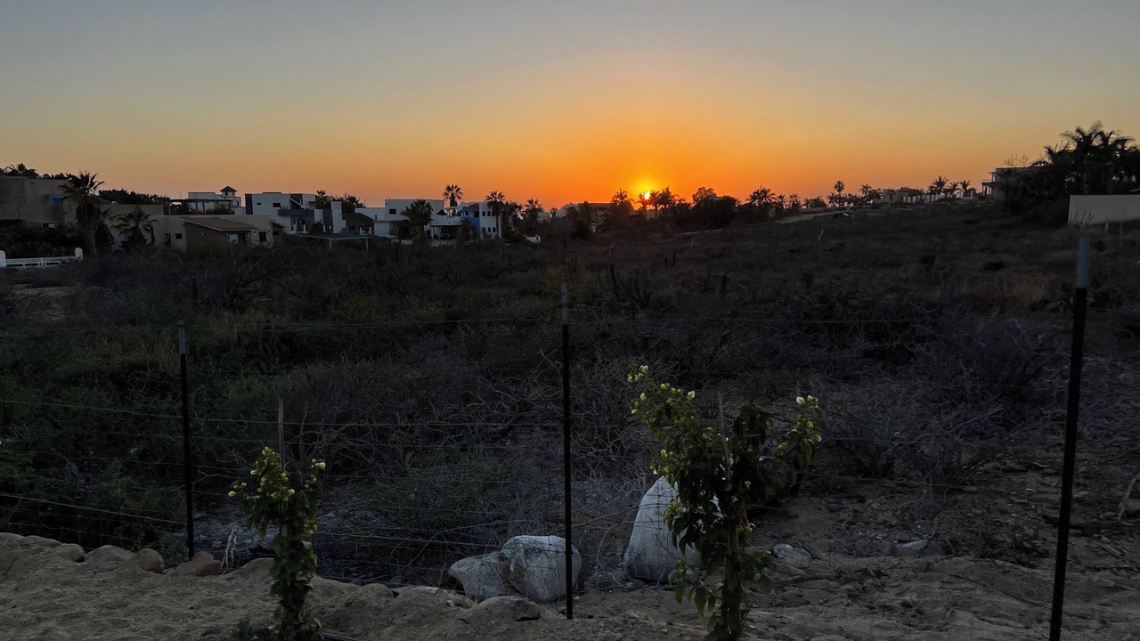 Photo of Outdoor in Todos Santos