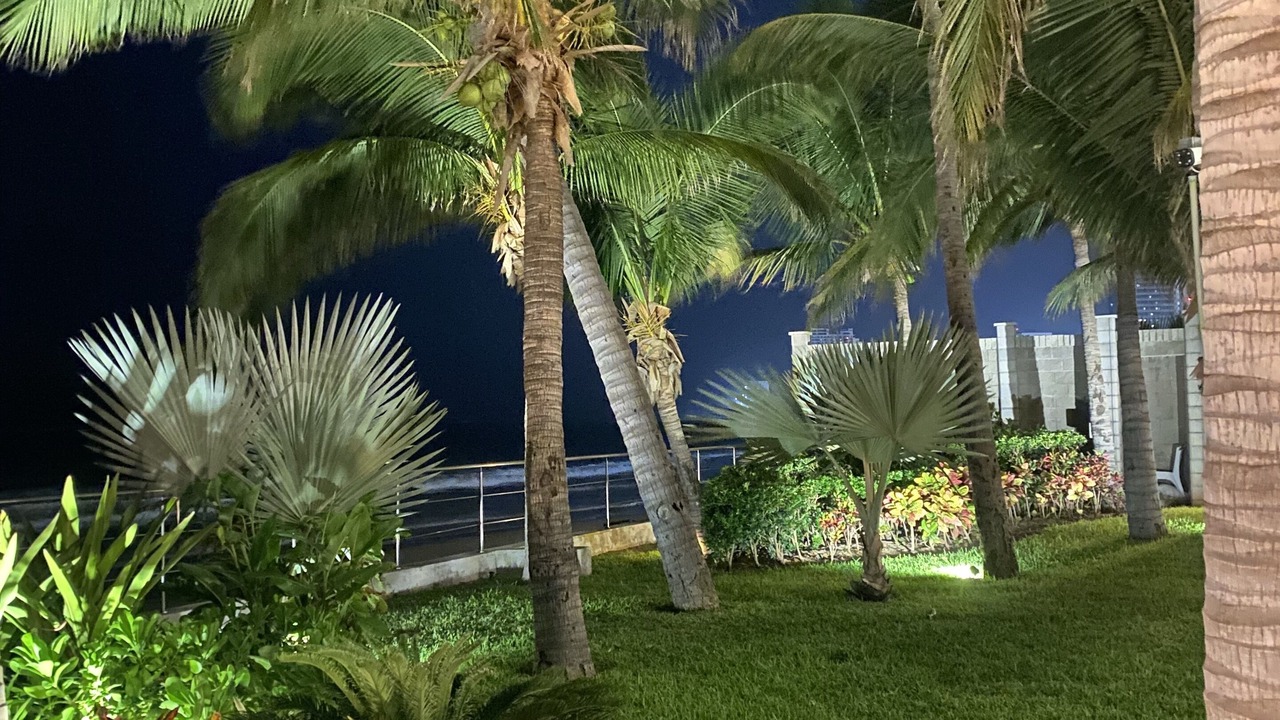 Photo of Outdoor in Las Gaviotas