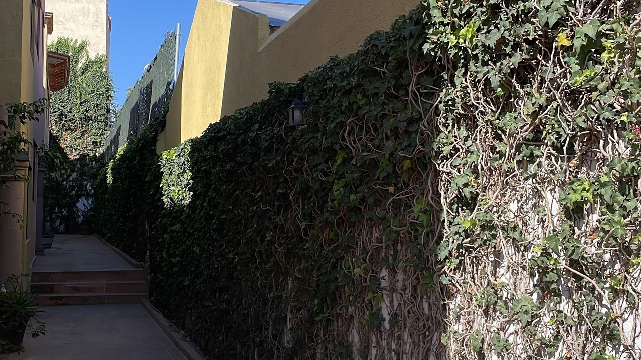 Photo of Outdoor in Centro