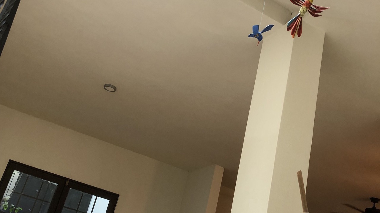 Photo of Others in La Penita de Jaltemba