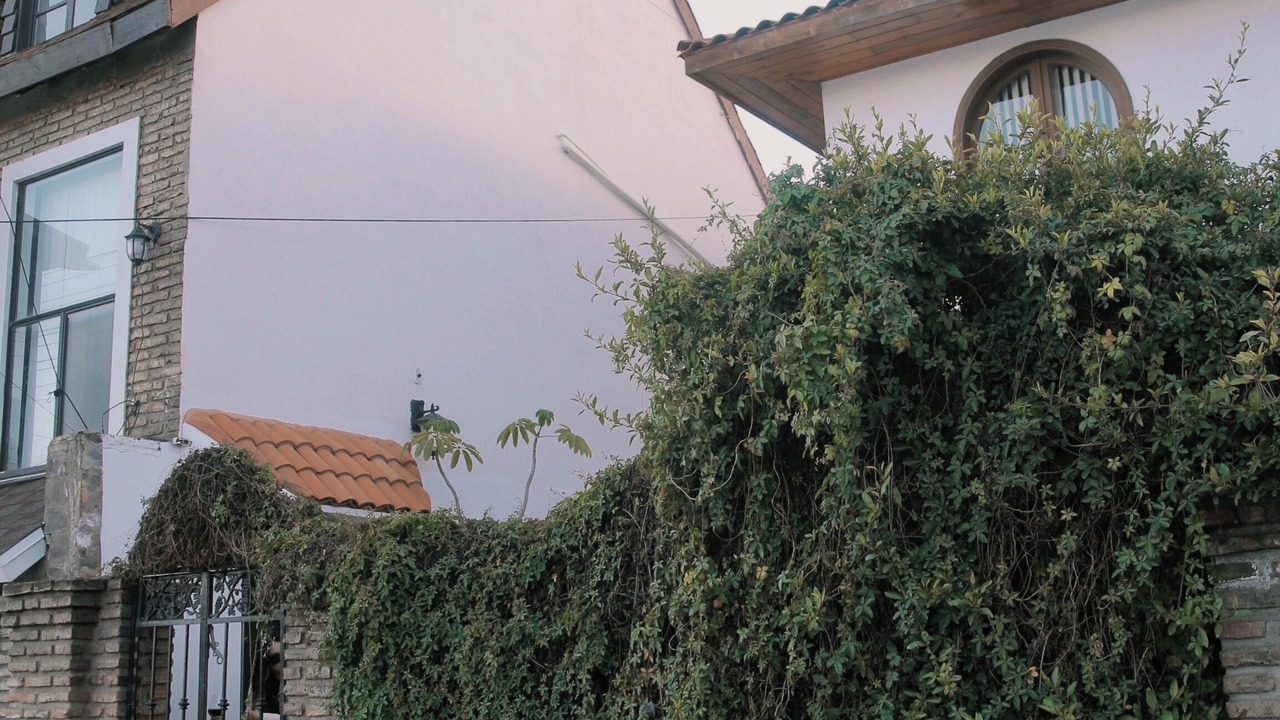 Photo of Outdoor in Zona Centro