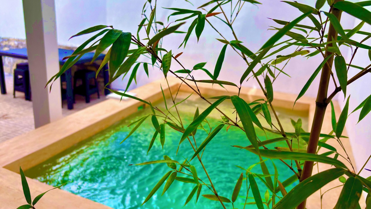 Photo of Outdoor in Ciudad Valles