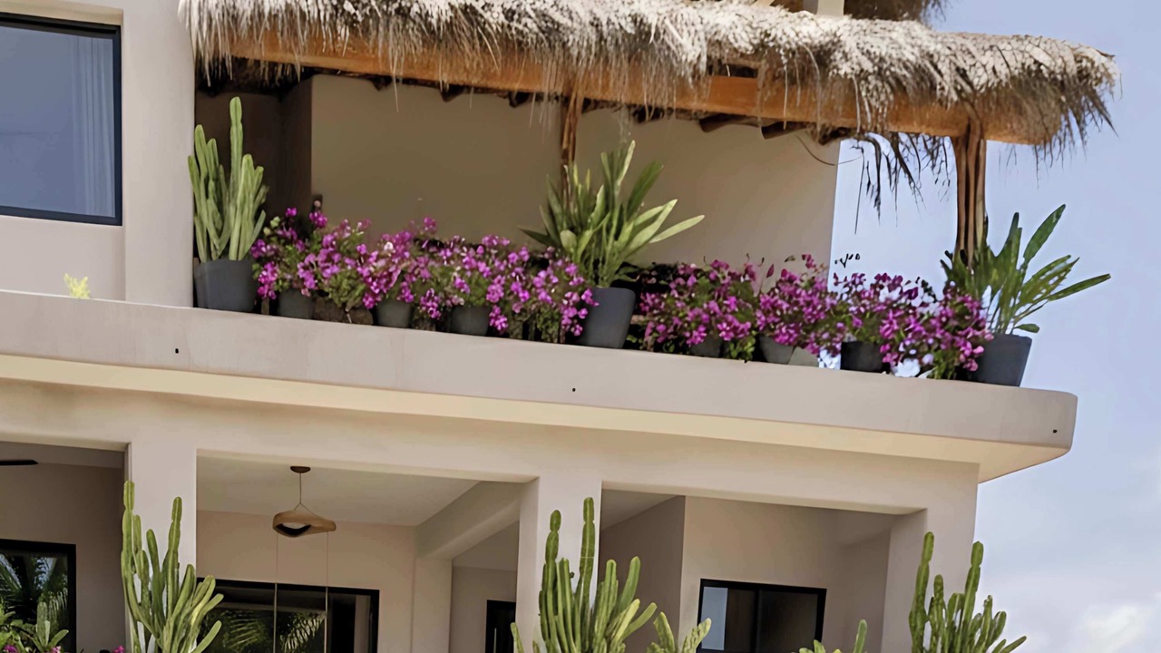 Photo of Outdoor in Santa Maria