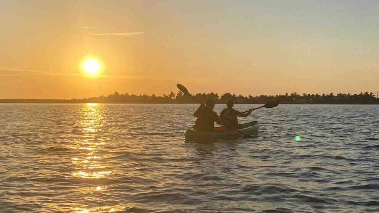 Photo of Others in Navolato