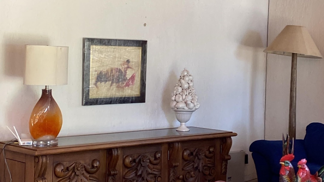 Photo of Others in San Juan Cosala