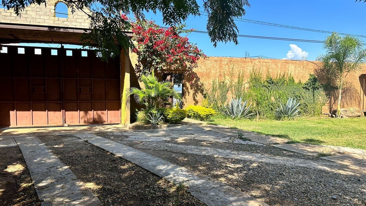 Photo of Outdoor in El Arenal