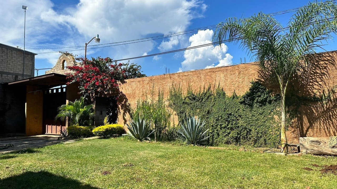 Photo of Outdoor in El Arenal