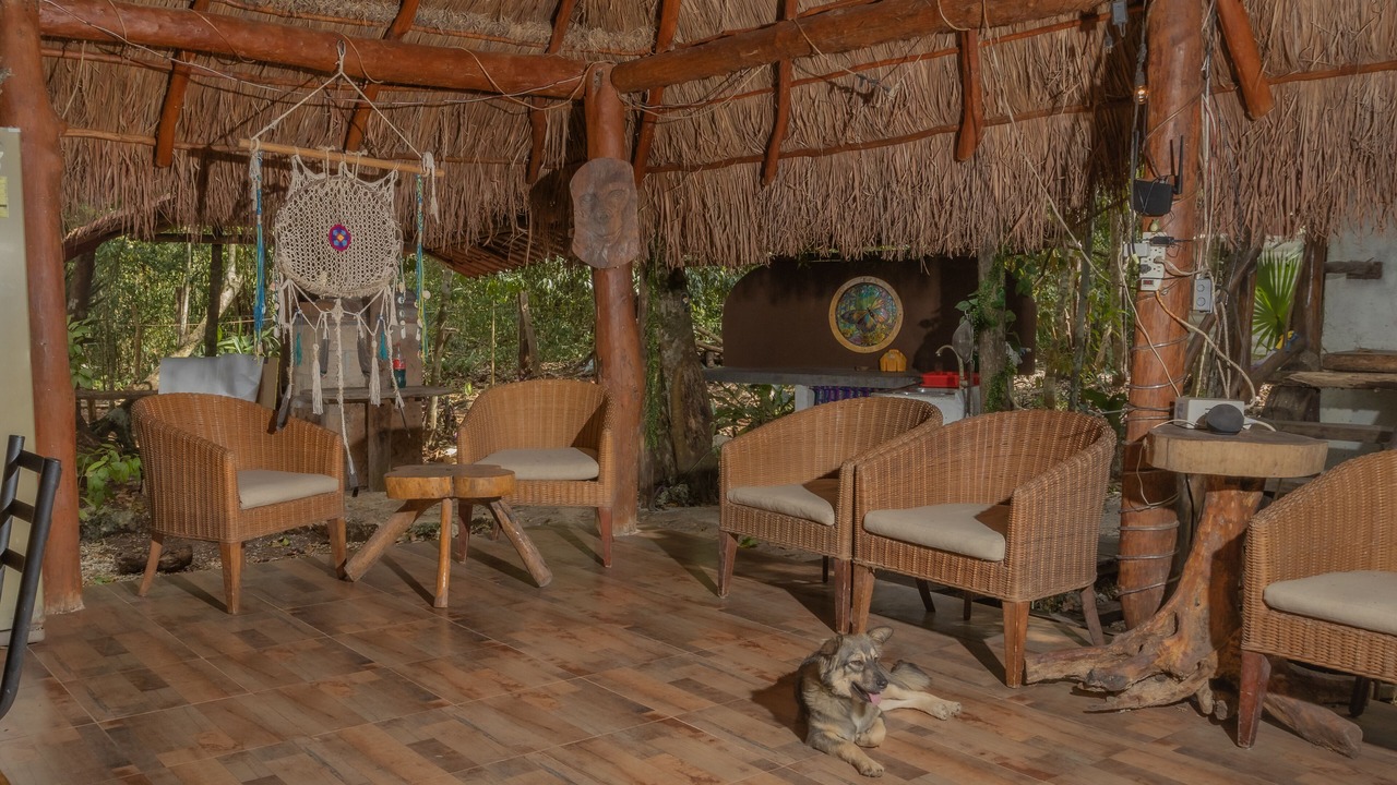 Photo of Outdoor in Leona Vicario