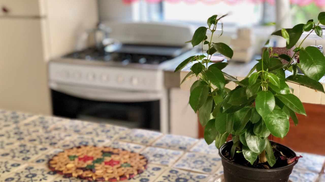Photo of Kitchen in Ticuman