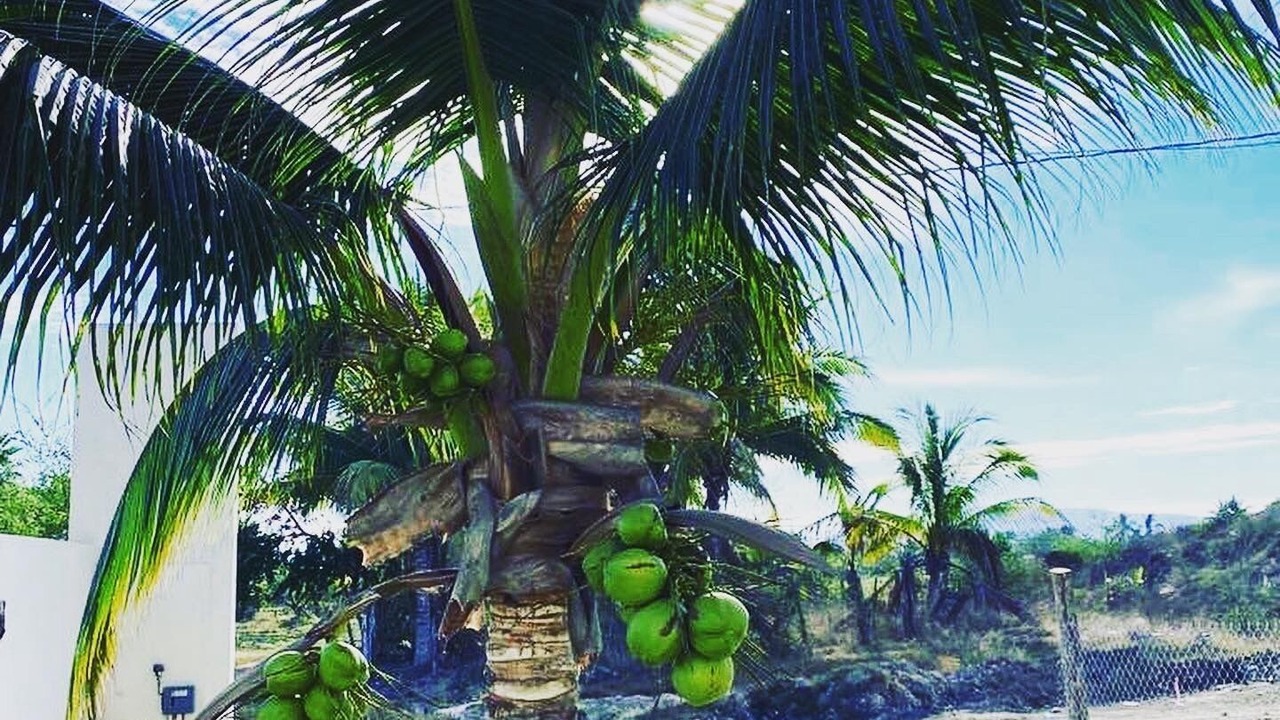 Photo of Outdoor in Perula