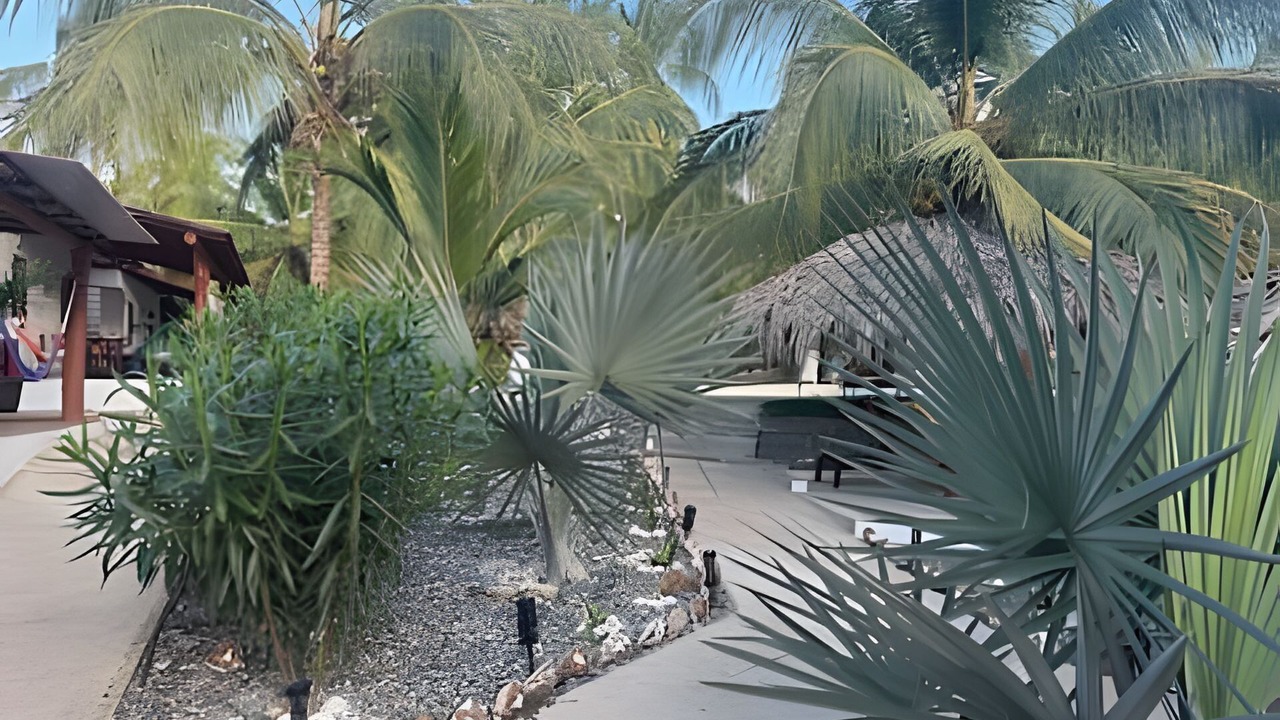Photo of Outdoor in Saladita