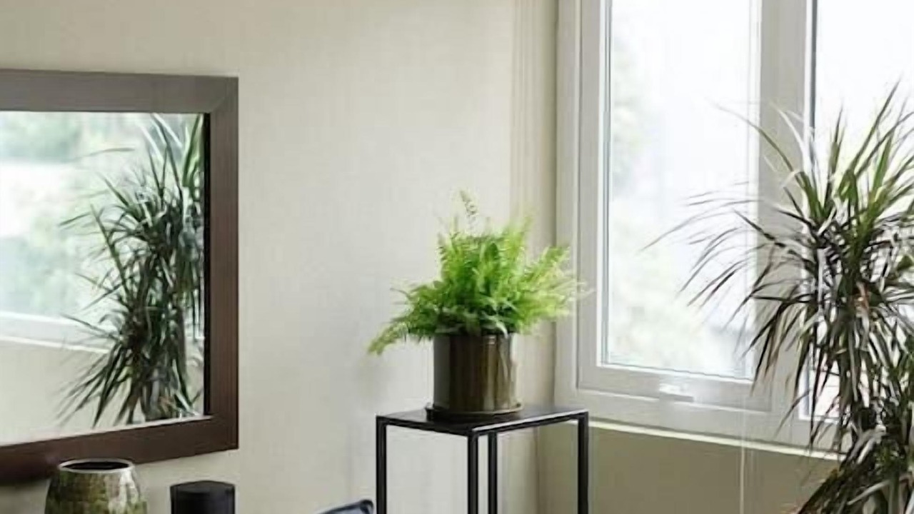 Photo of Livingroom in Colonia Cuauhtemoc