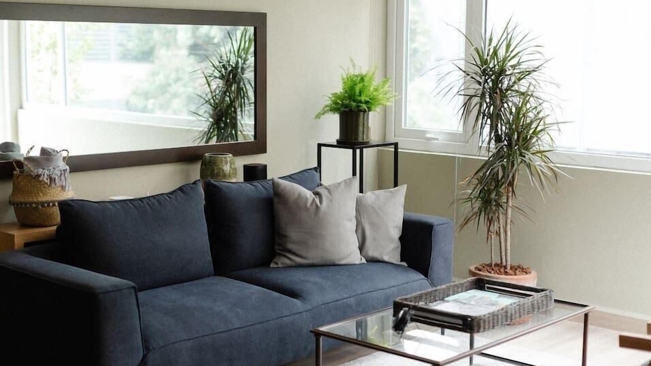 Photo of Livingroom in Colonia Cuauhtemoc