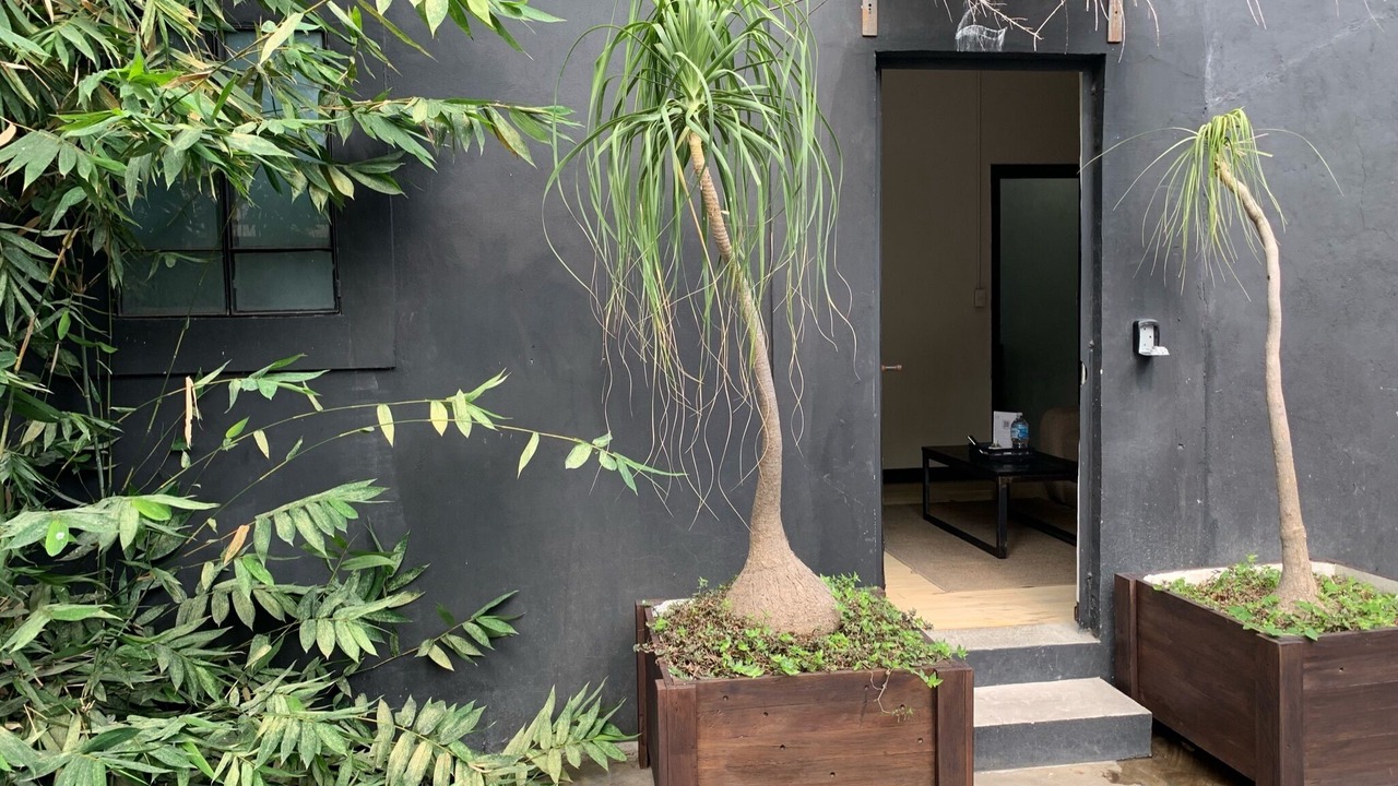 Photo of Outdoor in Narvarte Poniente