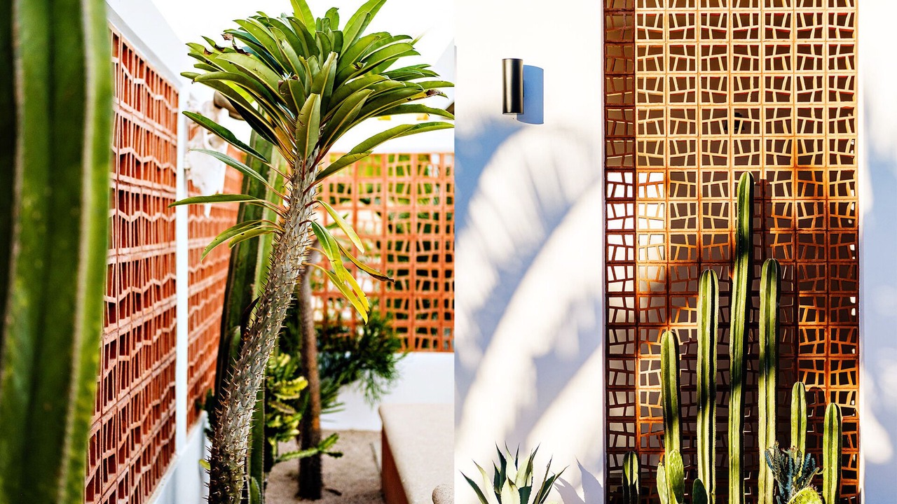 Photo of Outdoor in Todos Santos