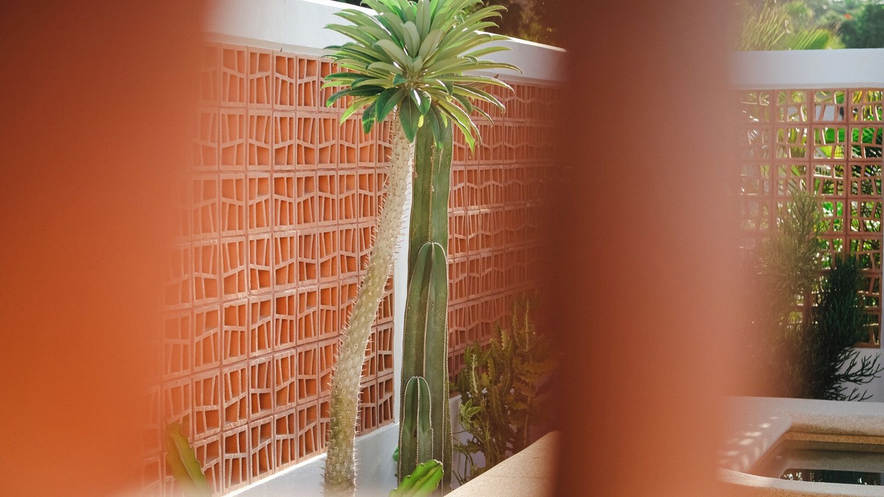 Photo of Outdoor in Todos Santos