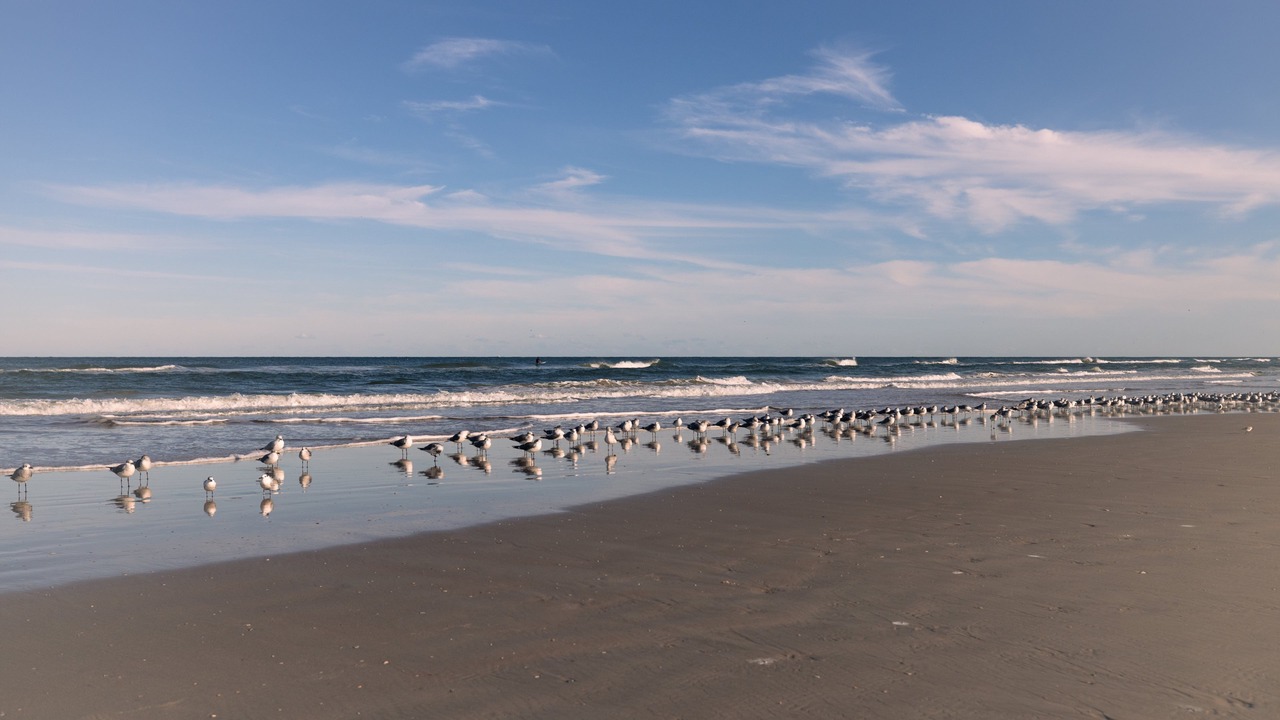 Photo of Others in Point East