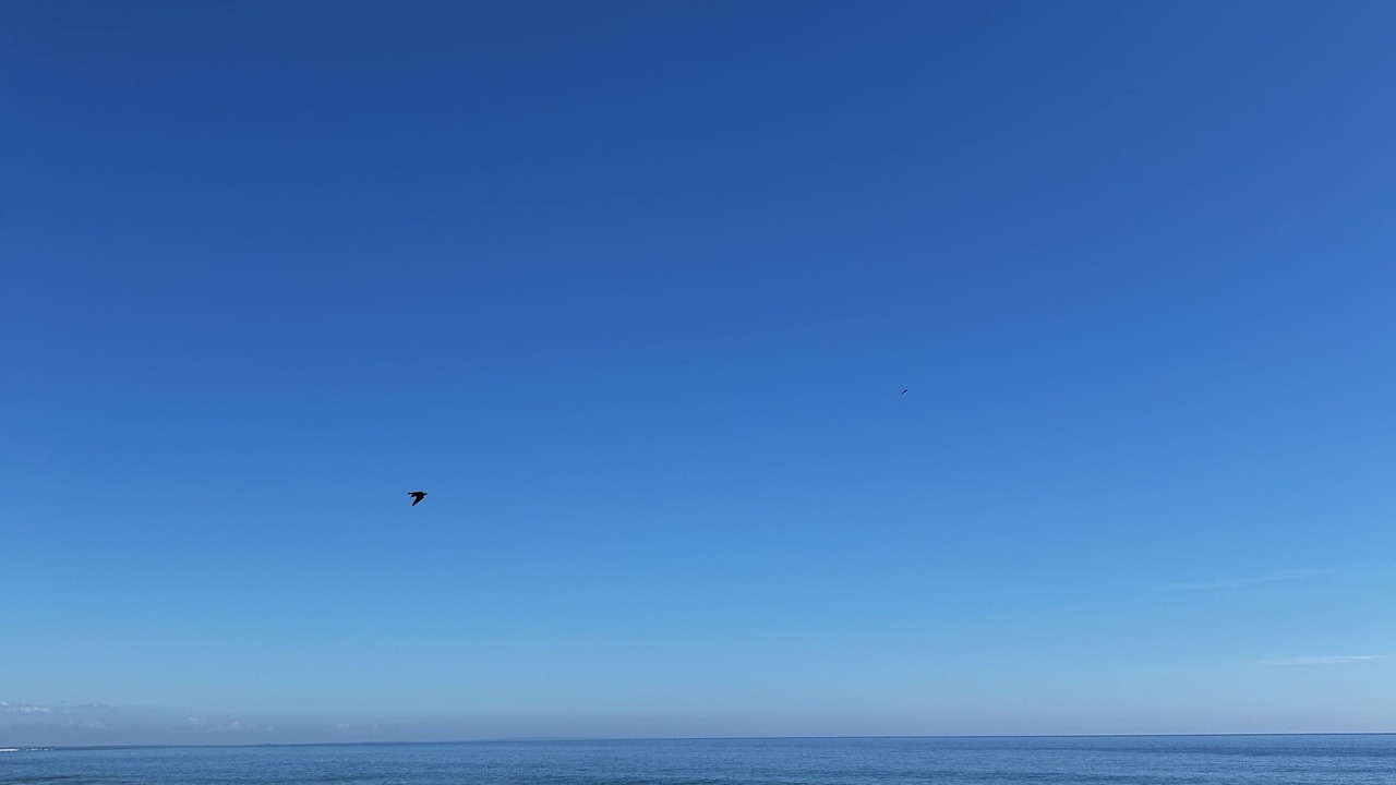 Photo of Others in Playa Ventura