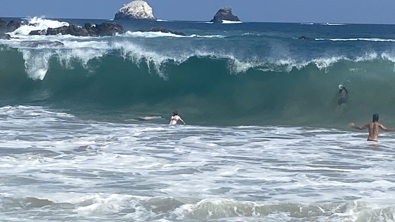 Photo of Others in Puerto Angel