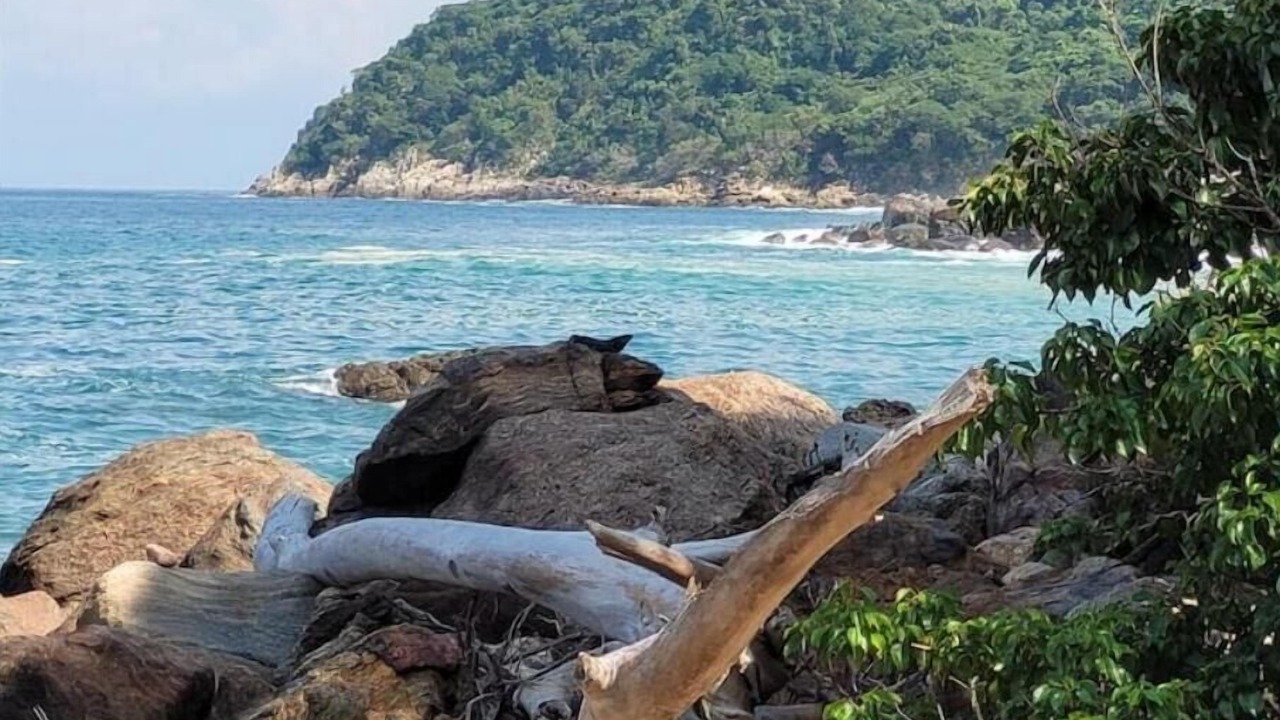 Photo of Others in Cabo Corrientes