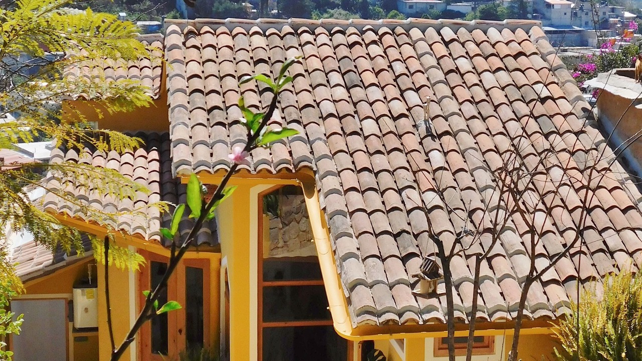 Photo of Outdoor in De Guadalupe
