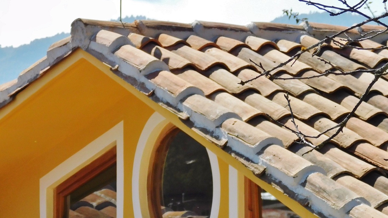 Photo of Outdoor in De Guadalupe