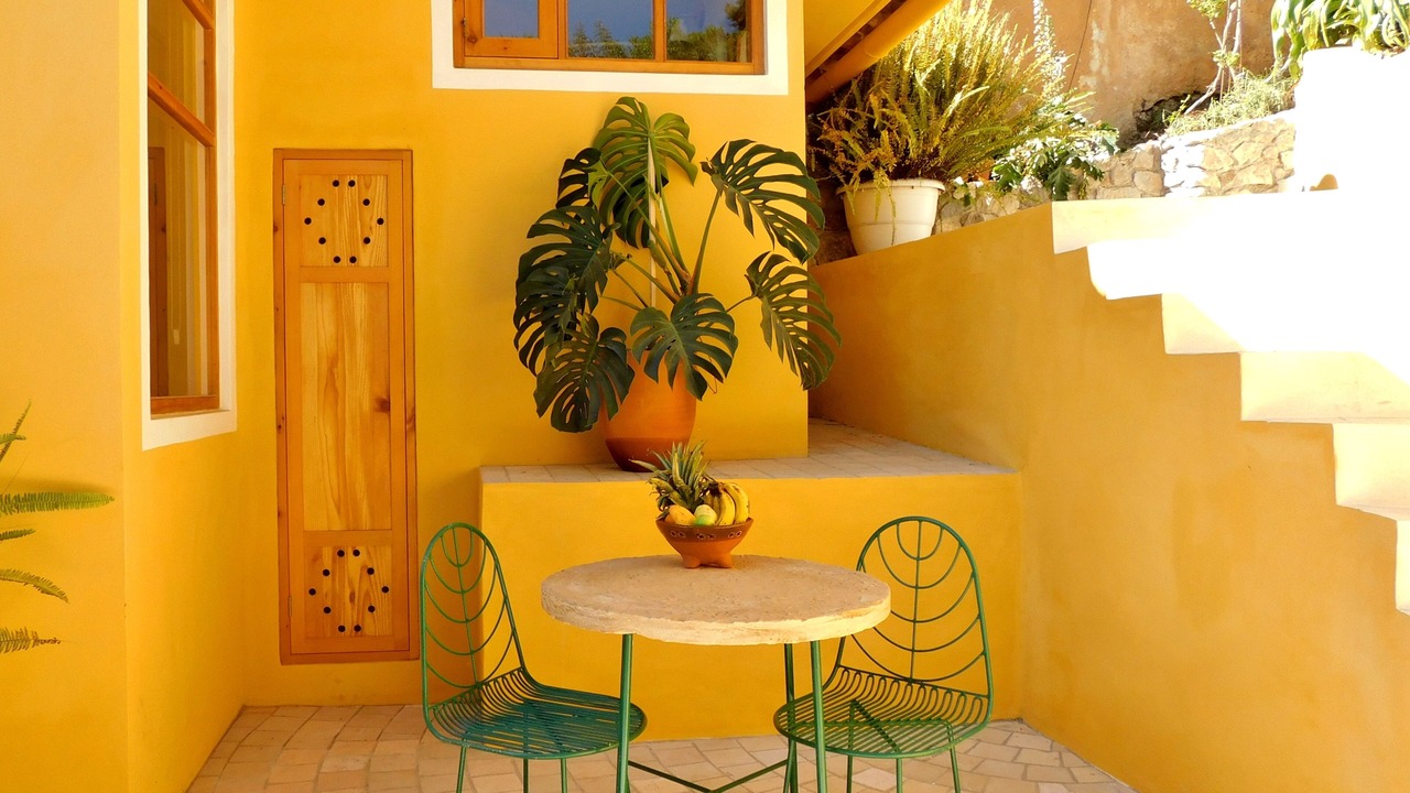 Photo of Outdoor in De Guadalupe