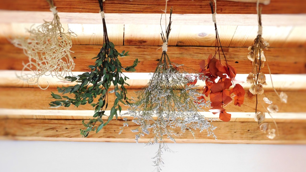 Photo of Others in San Cristobal de las Casas