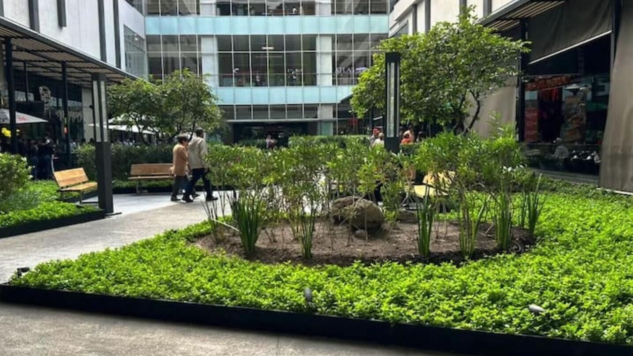 Photo of Outdoor in Tlalnepantla Centro