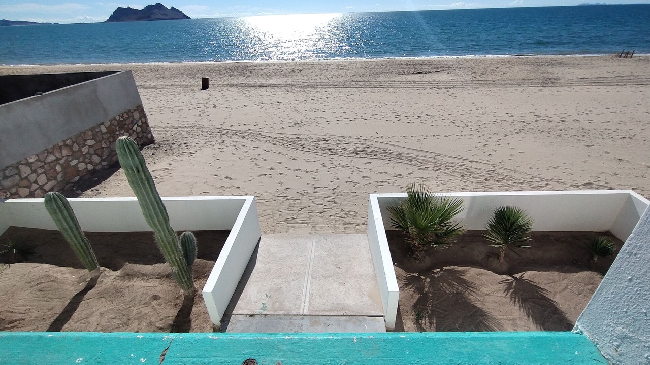 Photo of Others in Bahia Kino