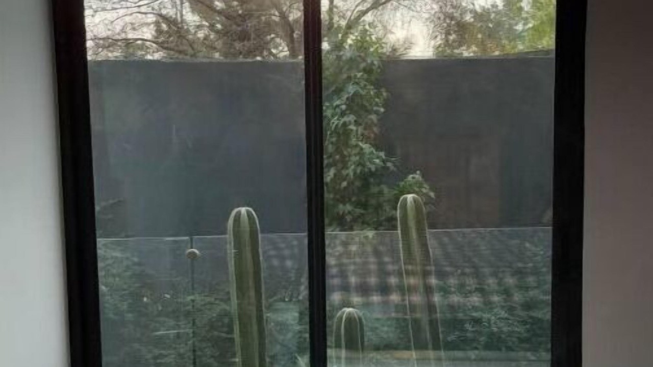 Photo of Bedroom in Coyoacan