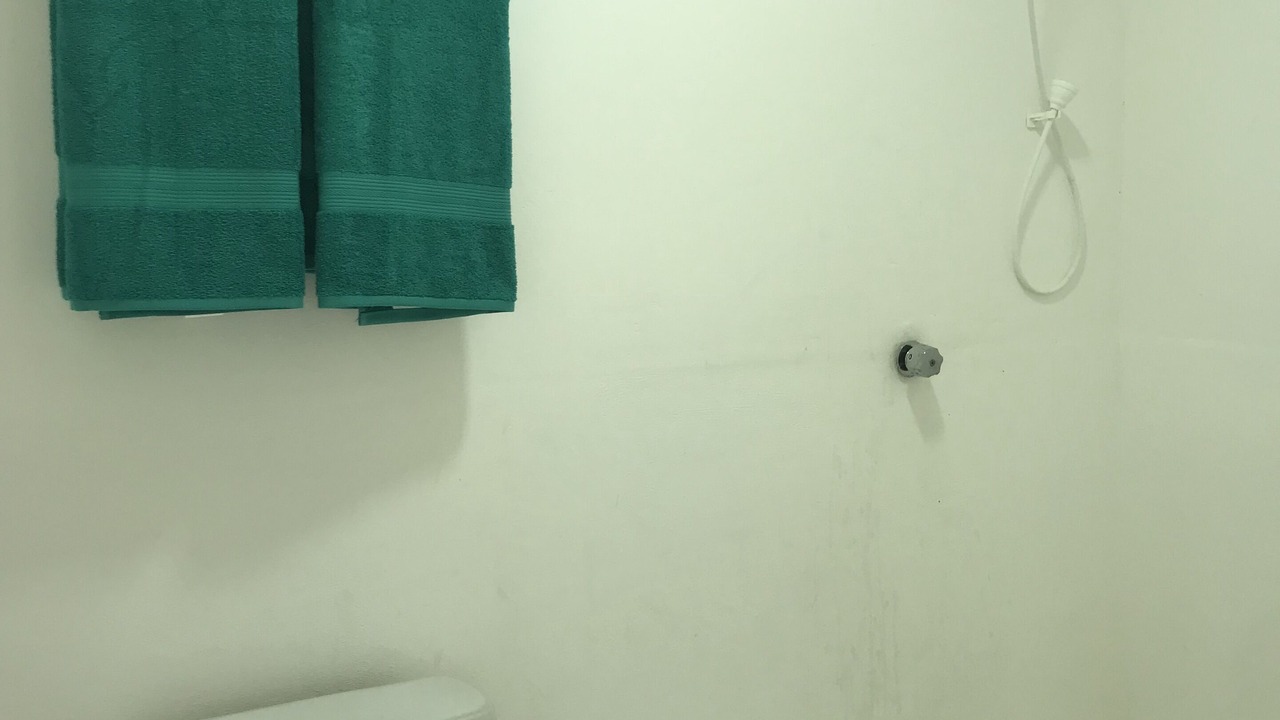 Photo of Bathroom in El Azufre