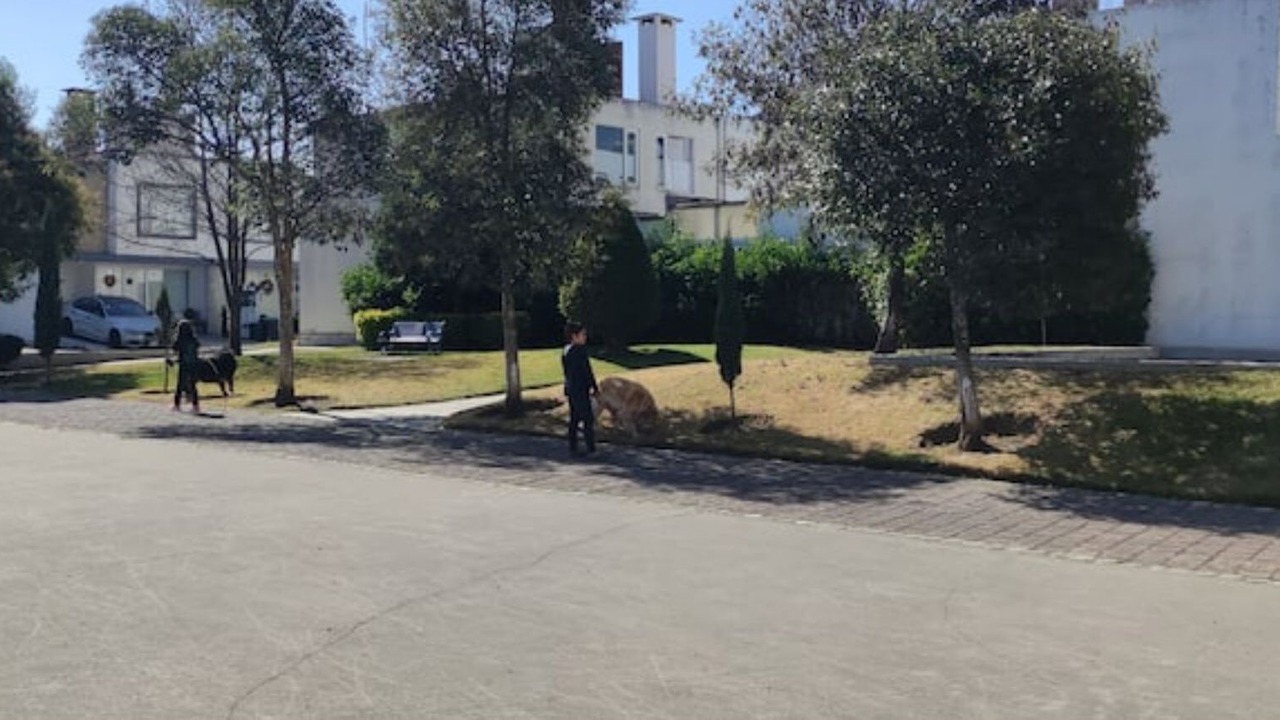 Photo of Outdoor in Lerma