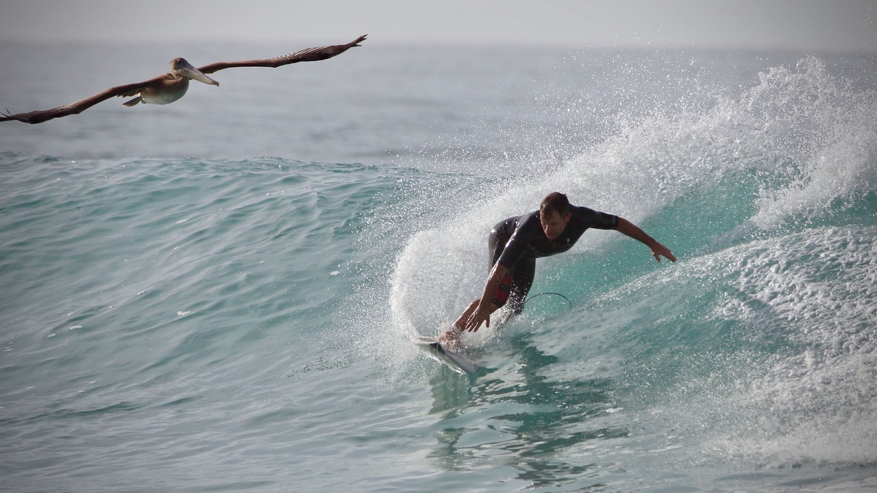 Photo of Others in El Pescadero