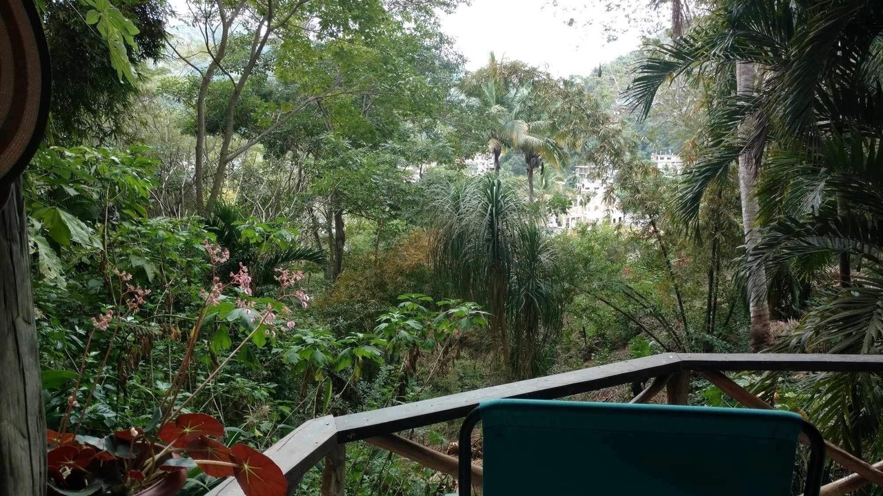 Photo of Outdoor in Yelapa